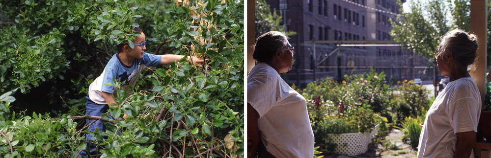 Ruth Kaaserer, Community Garden, 2005/08