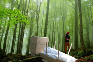 The photo shows the artist and a truckapillar, a creature half wooden truck and half giant insect larva, standing together in a deciduous forest and looking into the canopy. It is part of the work truckapillar.com, a digital collage of photos, videos, drawings, and texts.