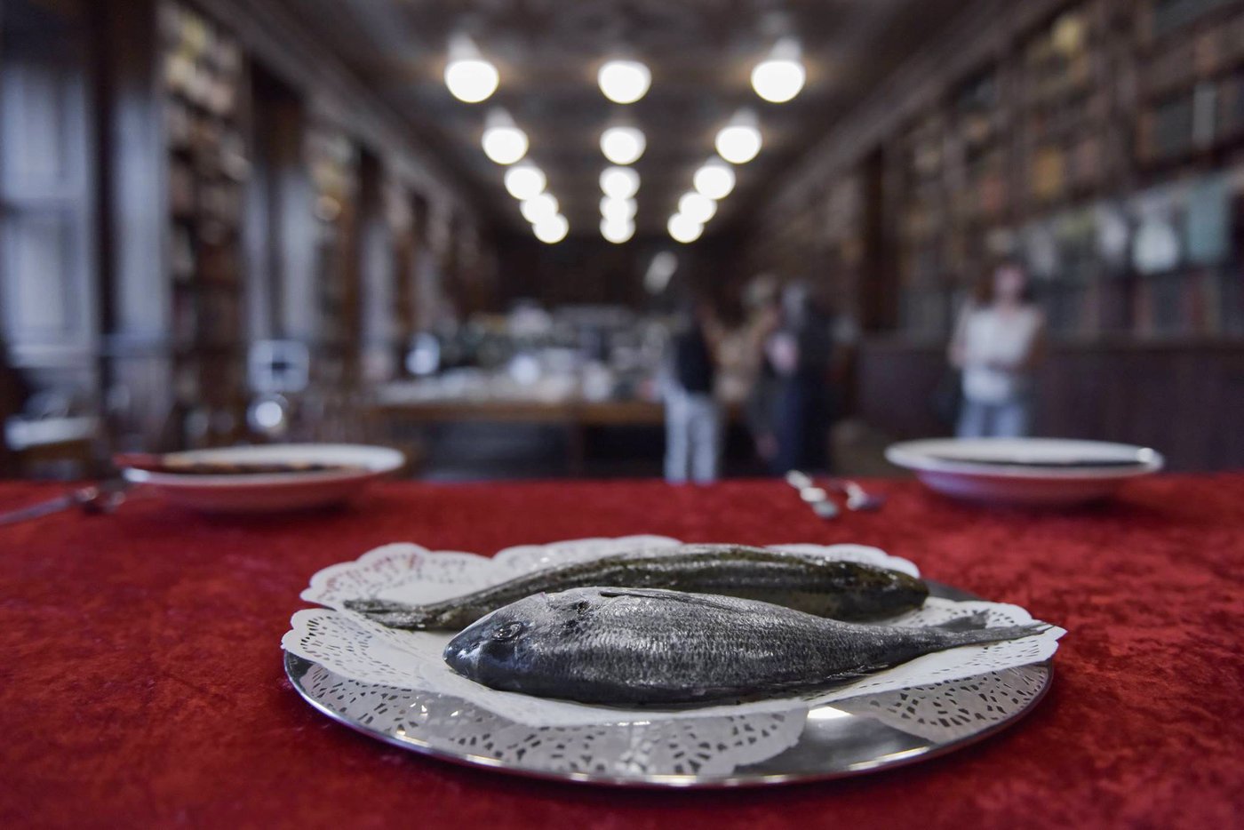 Exhibition view of two dead fish on a silver tray photographed on red fabric.